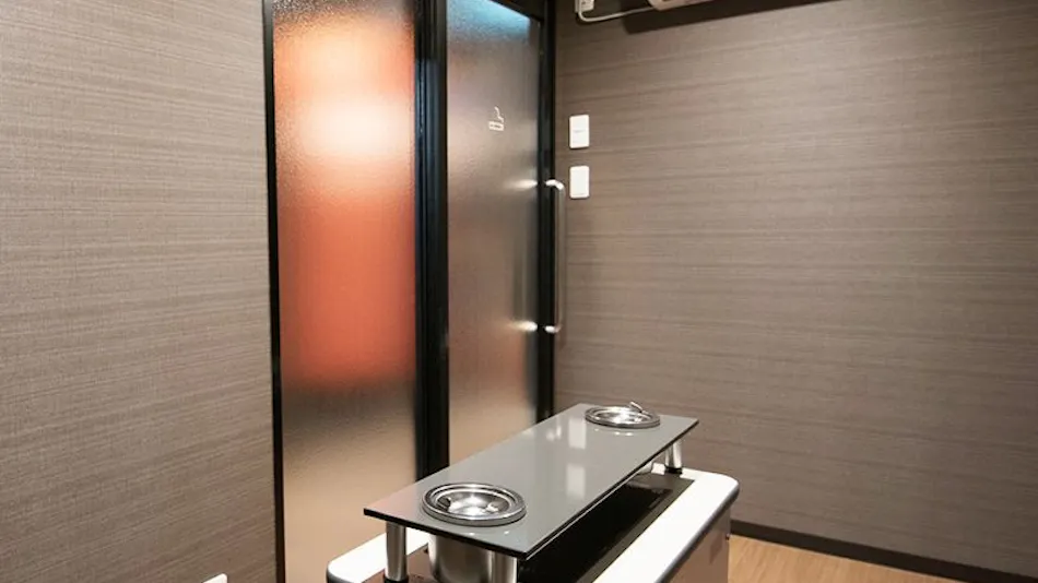 The Selecton Matsumoto