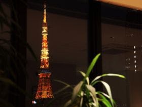 ＴＨＥ　ＨＯＴＥＬ　ＳＨＩＮＢＡＳＨＩ （ザ　ホテル新橋）