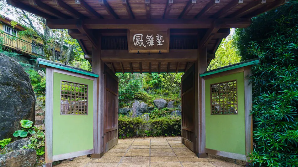 Phoenix Chick with Japanese Garden