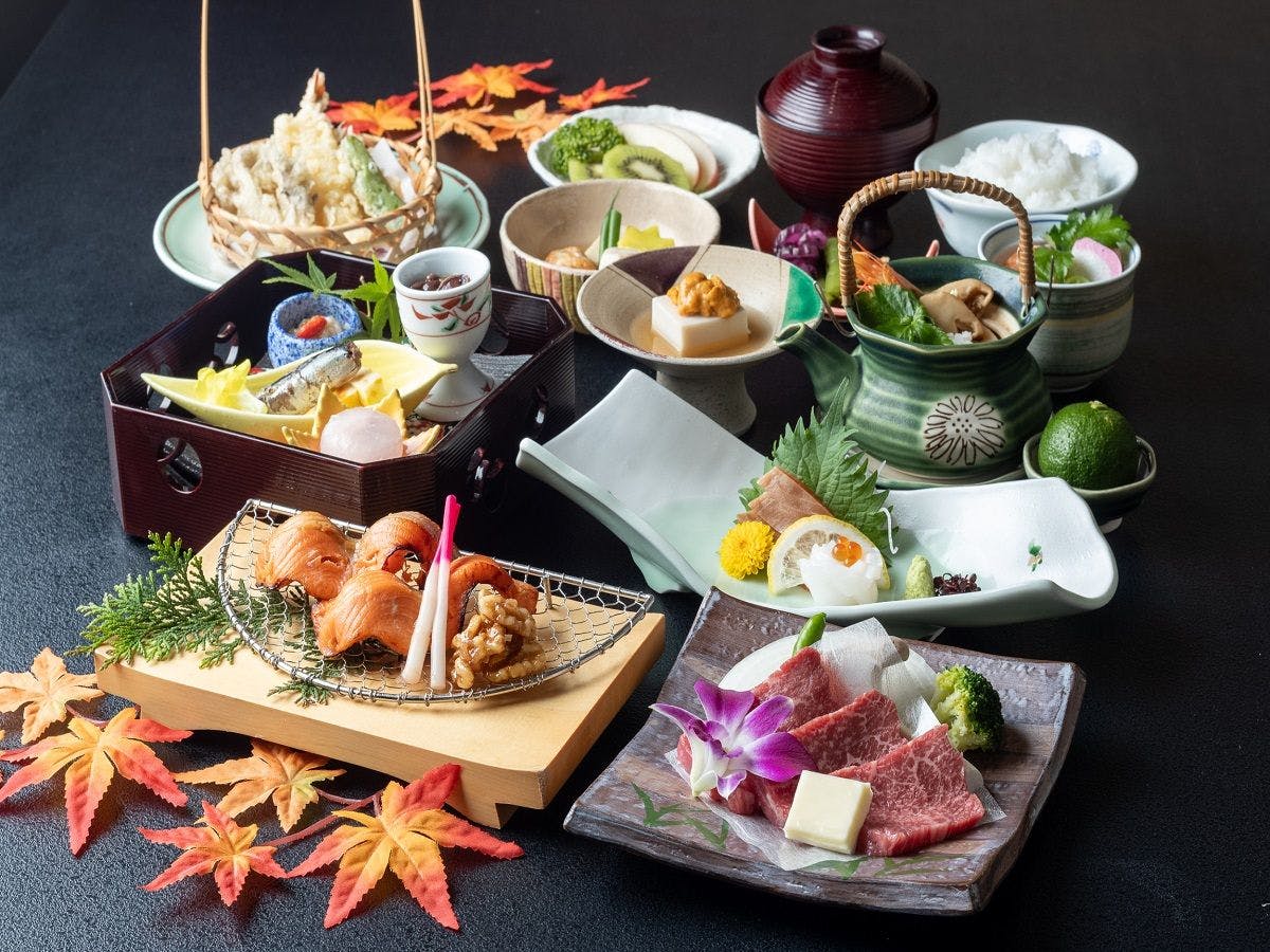 Nakatsugawa Onsen Hotel Hanasarasa