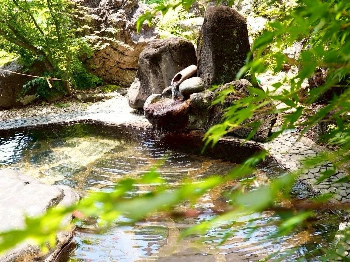 Hidden Onsen of Uonuma: Relaxation Retreat