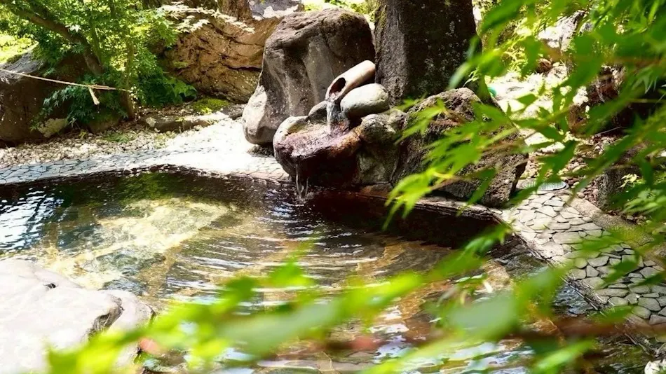Hidden Onsen of Uonuma: Relaxation Retreat