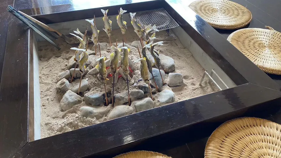Hidden Onsen of Uonuma: Relaxation Retreat