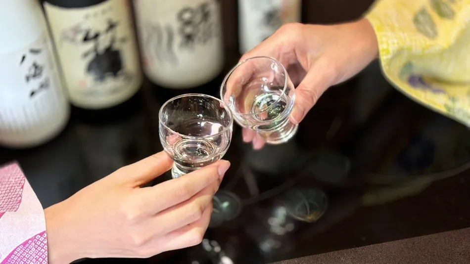 Hidden Onsen of Uonuma: Relaxation Retreat
