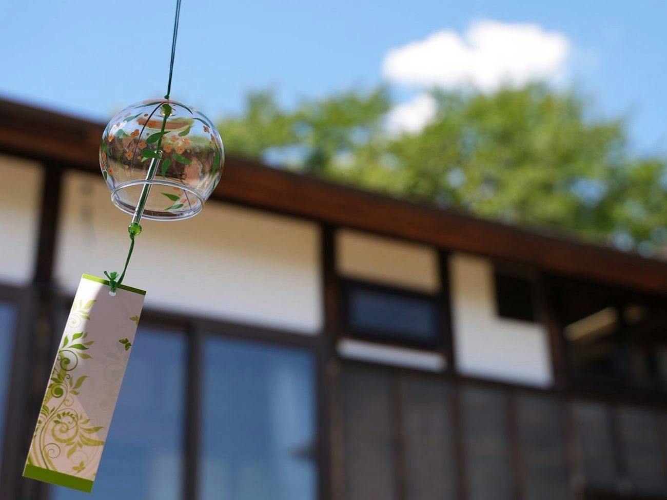 Hidden Onsen of Uonuma: Relaxation Retreat