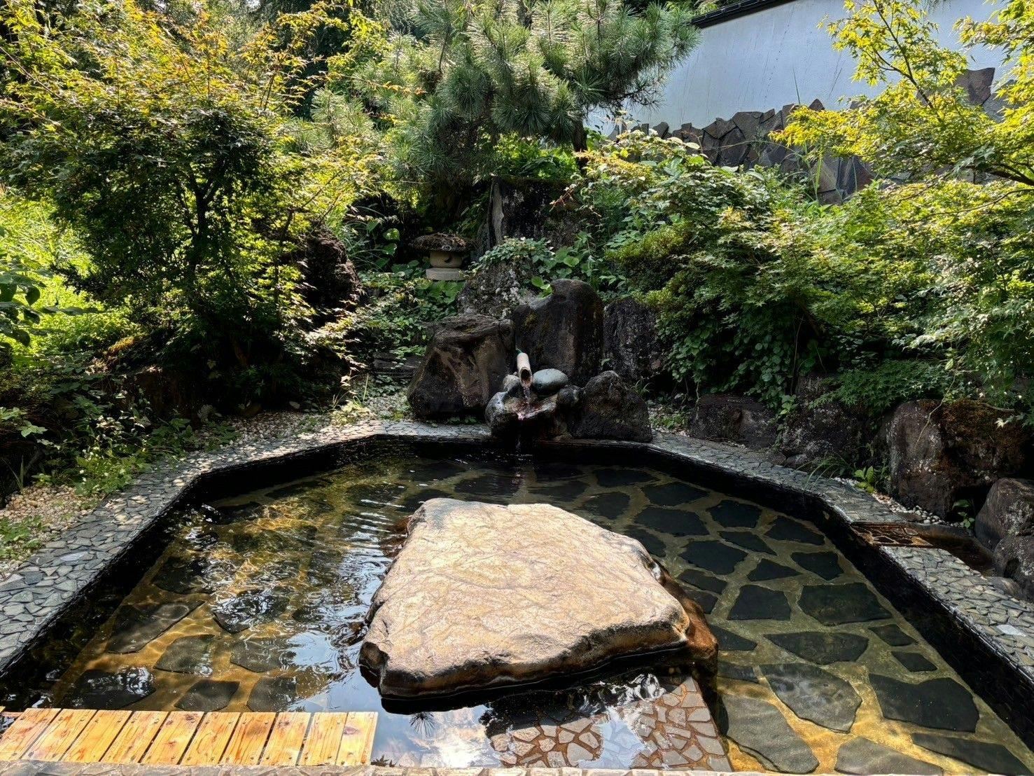 Hidden Onsen of Uonuma: Relaxation Retreat