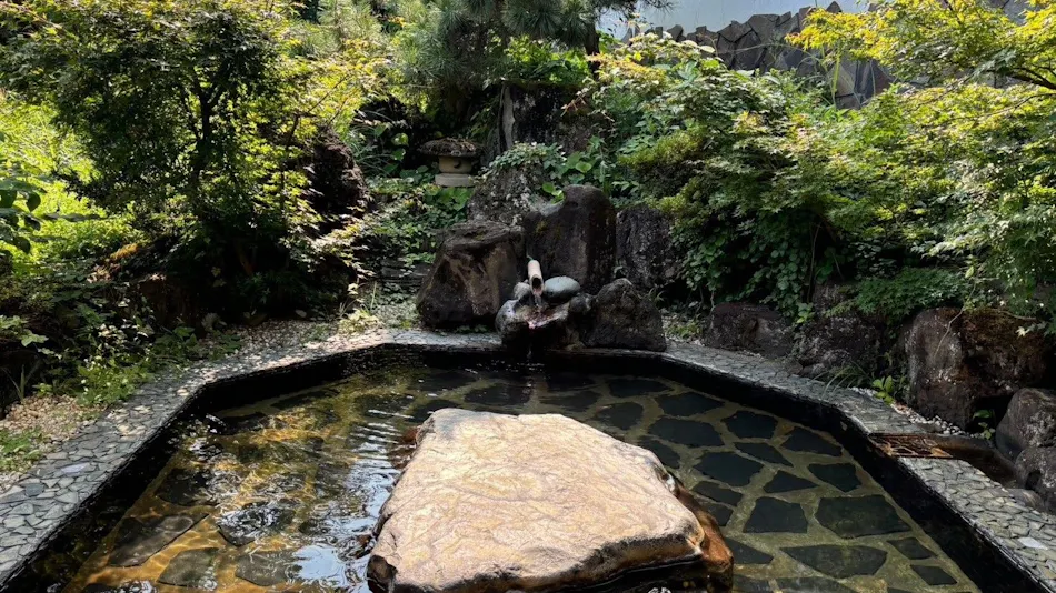 Hidden Onsen of Uonuma: Relaxation Retreat