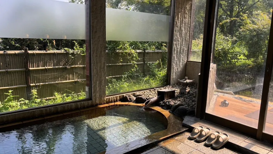 Hidden Onsen of Uonuma: Relaxation Retreat