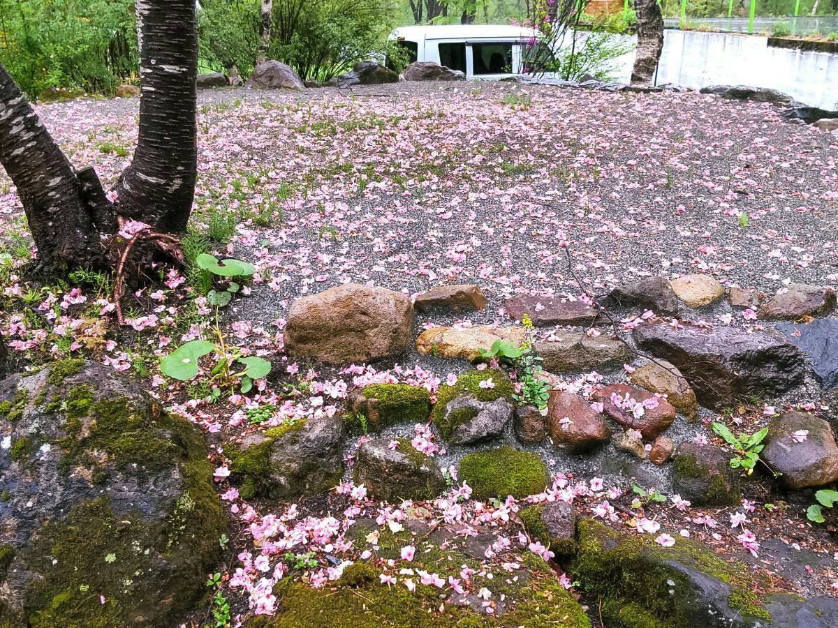 KuDo's Lodge