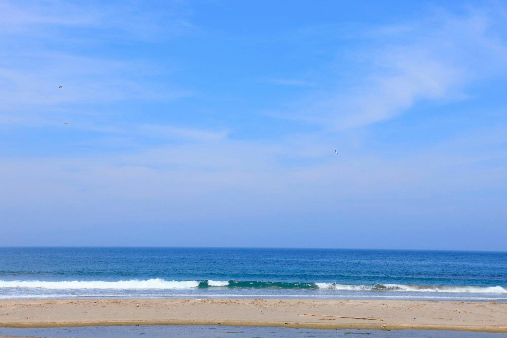 南千倉海水浴場
最近的海水浴場