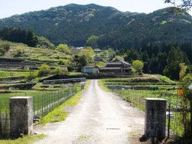 分校　Ｓｔａｙ　ｈａｒｕｈｉ