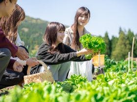 分校　Ｓｔａｙ　ｈａｒｕｈｉ