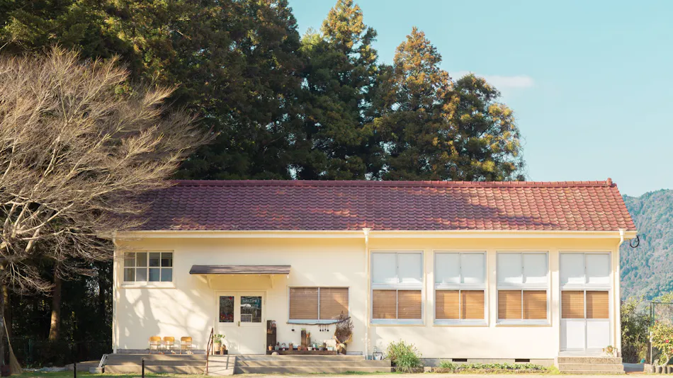 Branch School Stay Haruhi