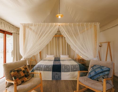 サファリテント限定！天蓋付きベッド