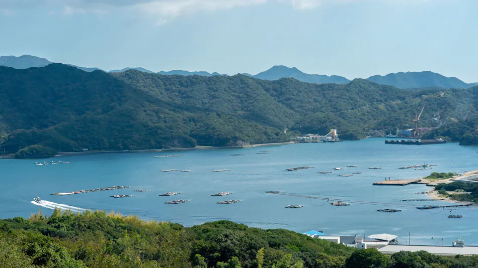 Awaji Island C-Side | Dual View