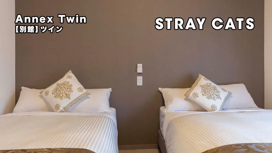 Mr.KINJO GRAND CATS <Ishigaki Island>