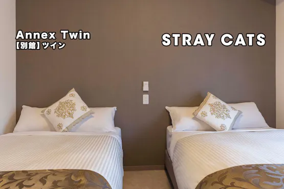 อาคารเสริม STRAY CATS Twin