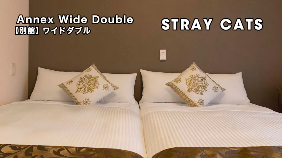 Mr.KINJO GRAND CATS <Ishigaki Island>