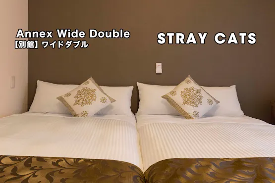 STRAYCATS เตียงคู่กว้าง