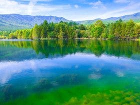 ロッジエル・ケーナ