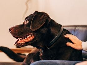 大岡辻－ｔｓｕｊｉ＿ｏｏｏｋａ－