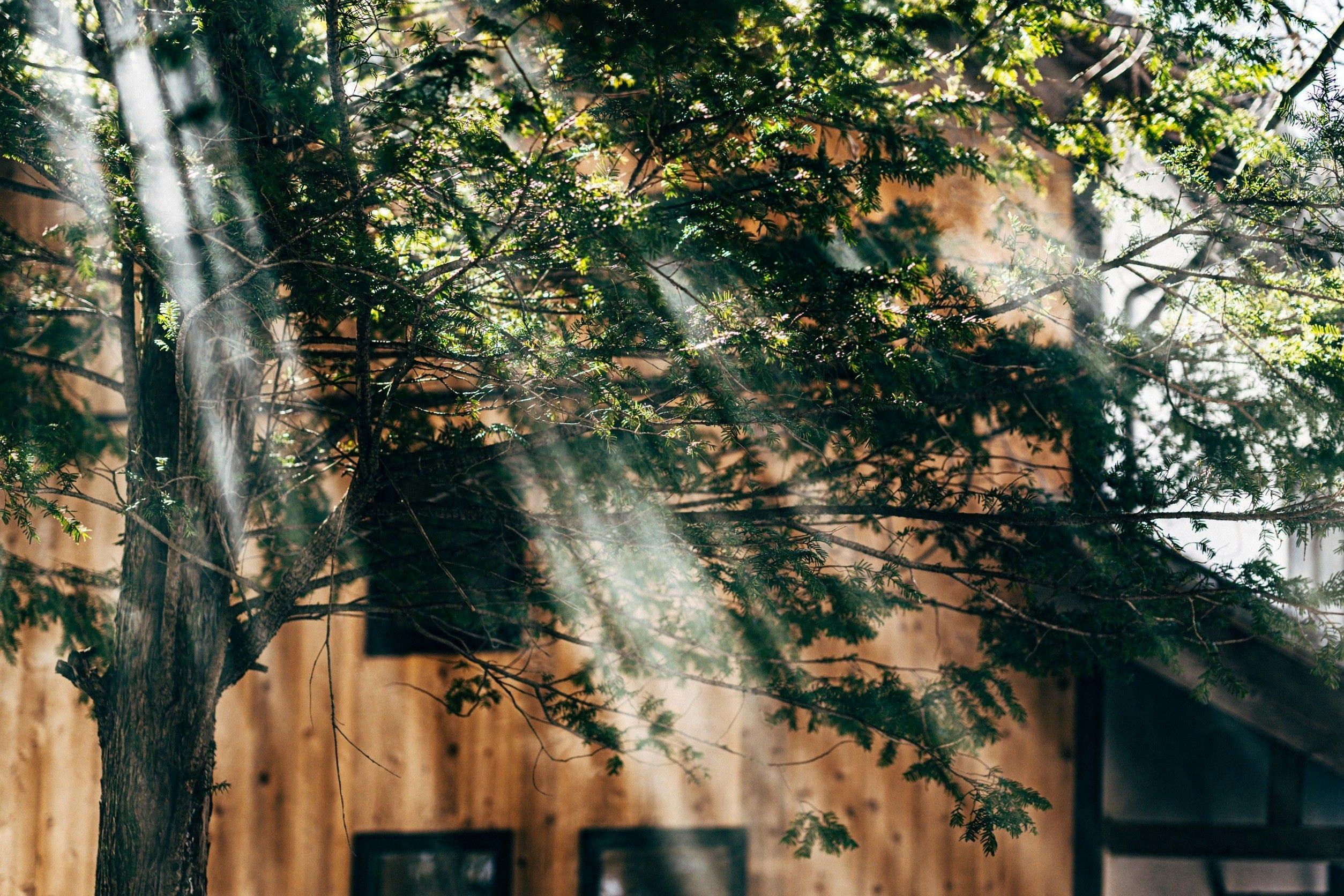 TSUJI OOOKA -Exclusive Private Stay with SAUNA-