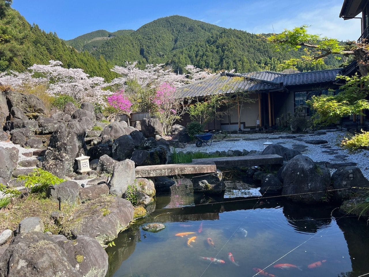Urashima Onsen Suikouen Sakura