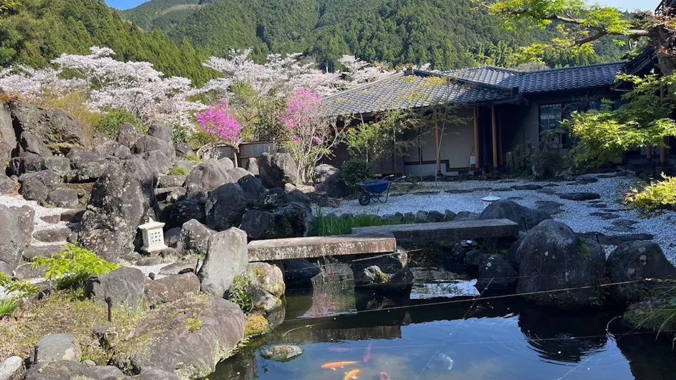 Urashima Onsen Suikouen Sakura
