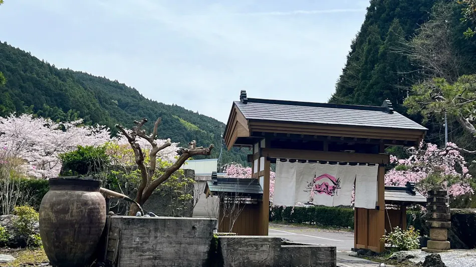 Urashima Onsen Suikouen Sakura