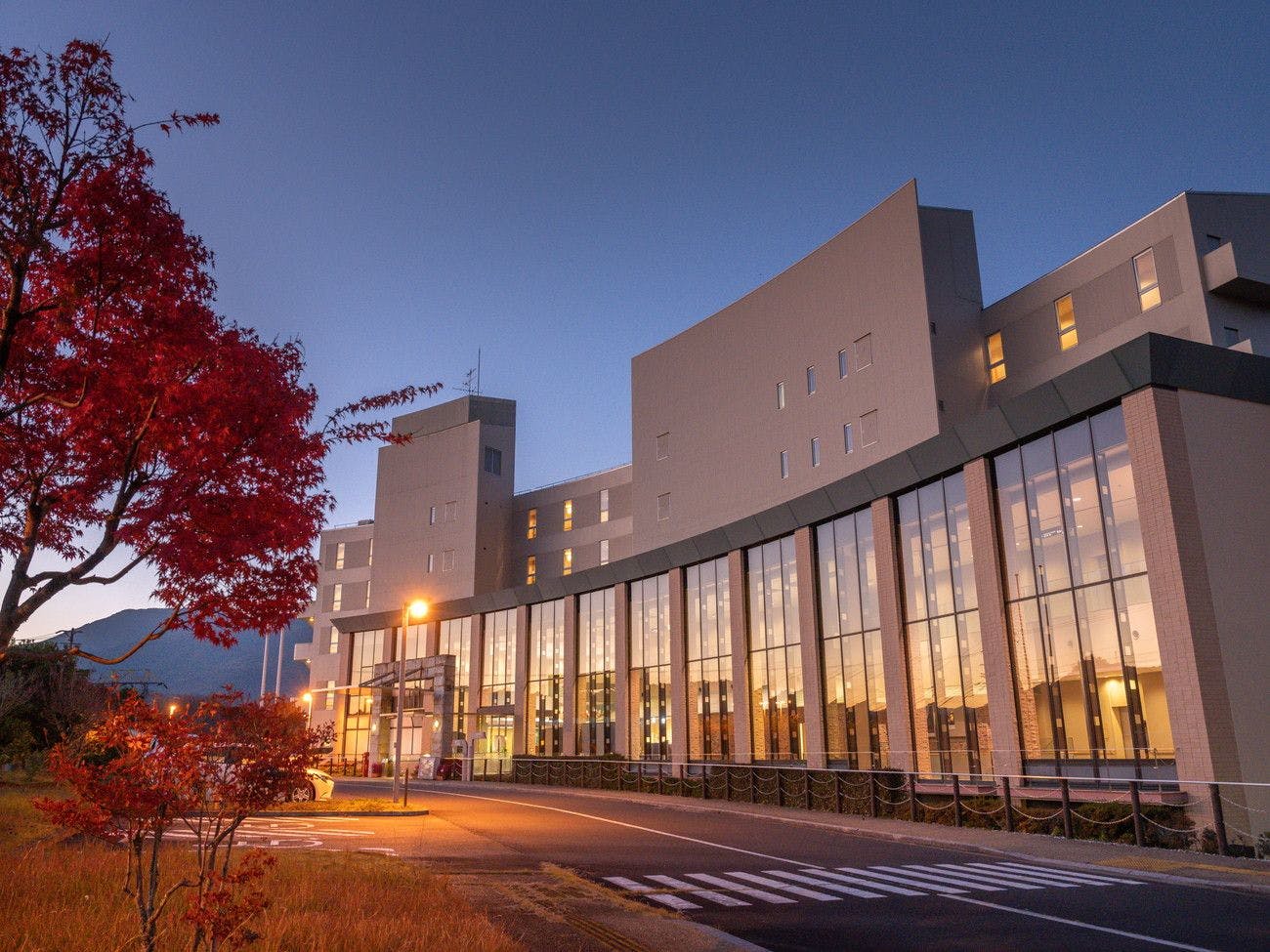 【ภายนอก】ใบยูซุริฮะที่น่าหลงใหล