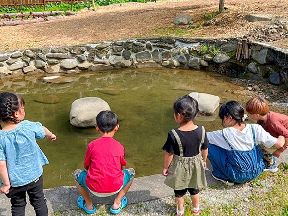 บ่อน้ำฟักทอง