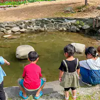 บ่อน้ำฟักทอง