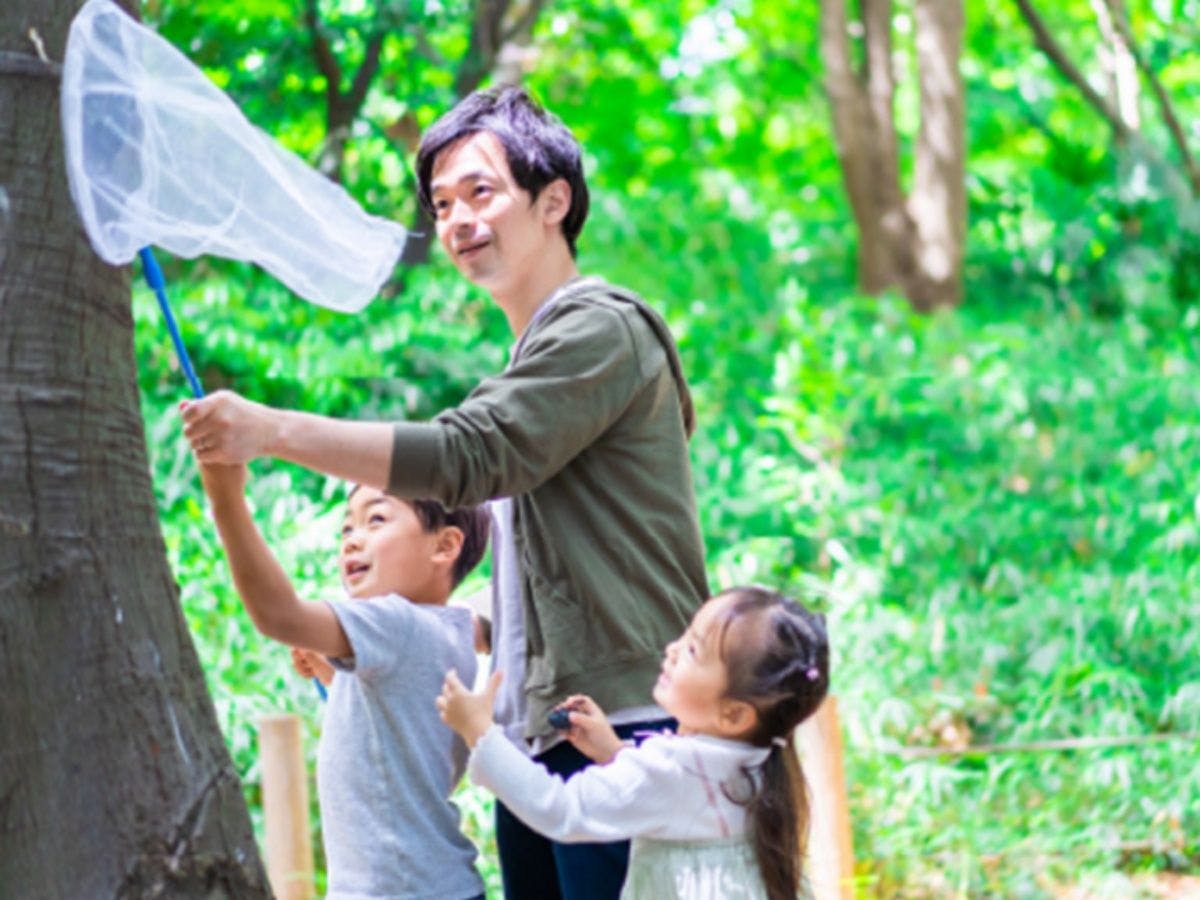 ประสบการณ์ธรรมชาติ