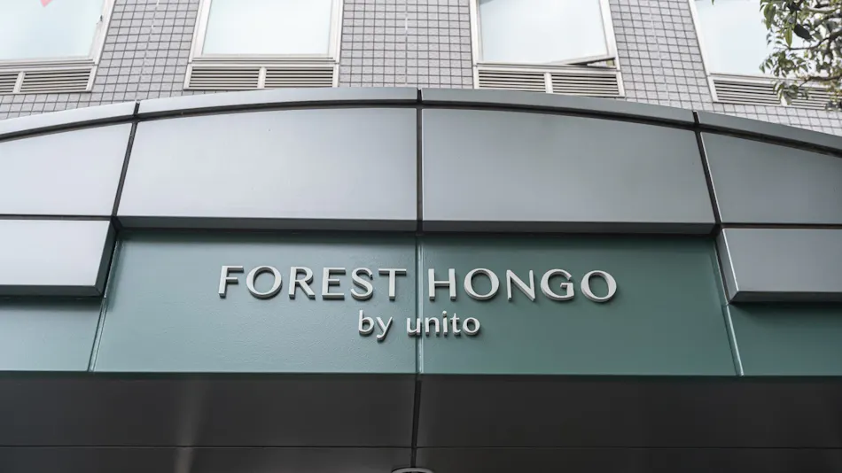 Forest Hongo by Unito