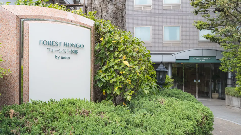 Forest Hongo by Unito