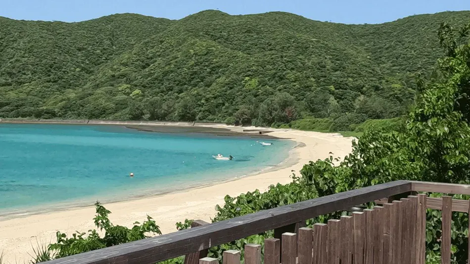 Sea Rekan