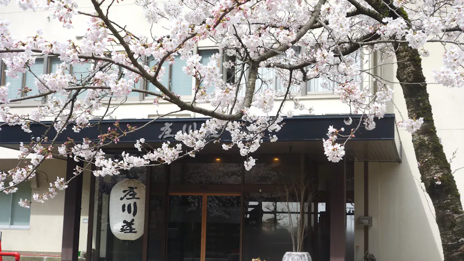 Shogawa Onsen Tonamino Shogawasou Ichimantei