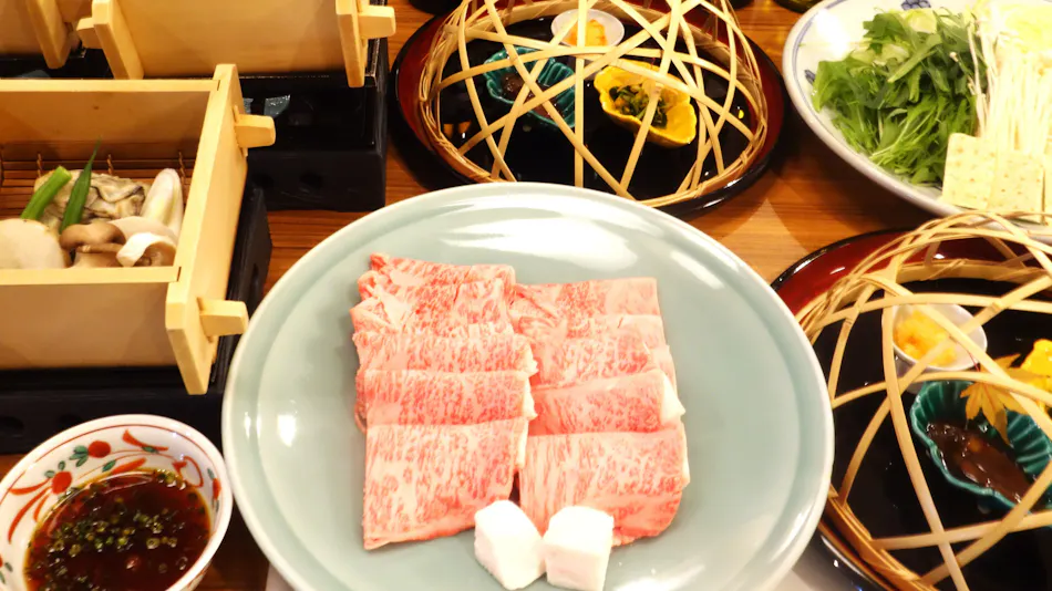 Shogawa Onsen Tonamino Shogawasou Ichimantei