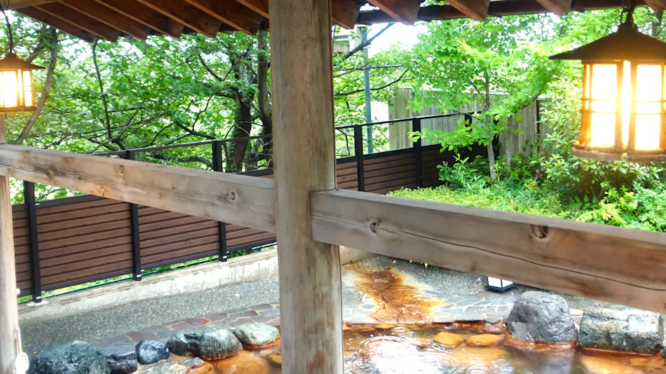 Shogawa Onsen Tonamino Shogawasou Ichimantei