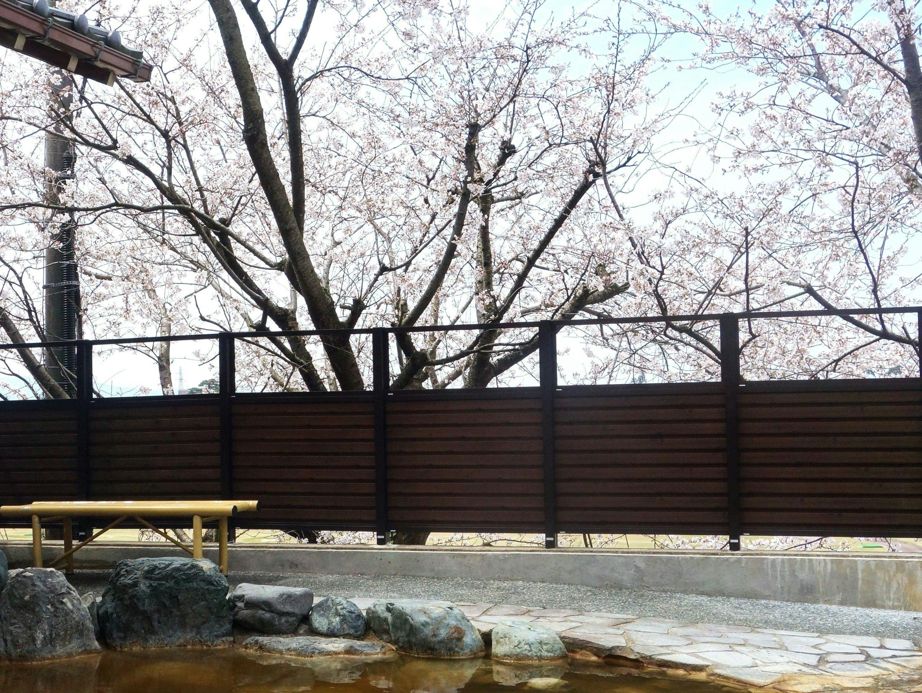 Shogawa Onsen Tonamino Shogawasou Ichimantei