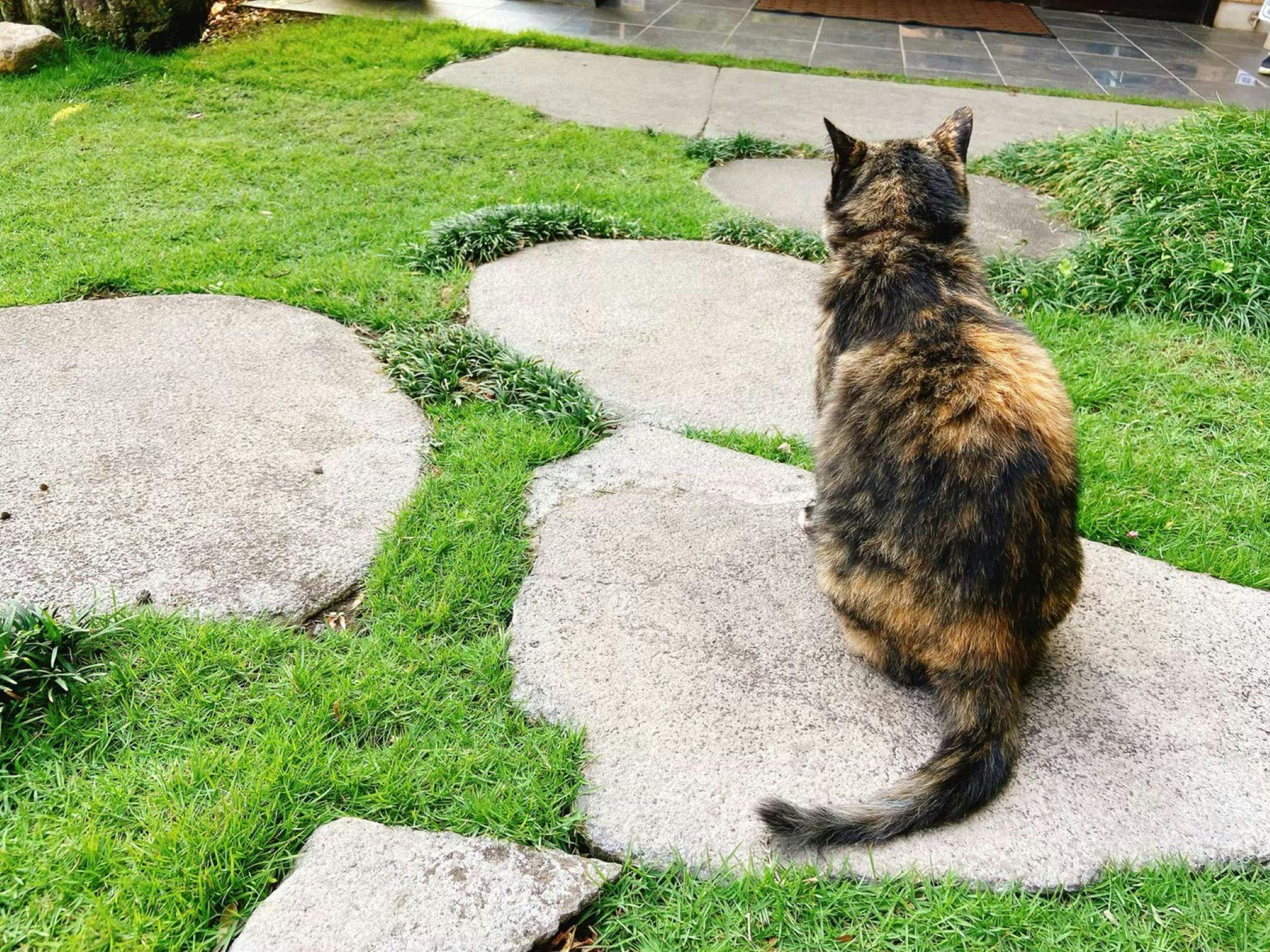 "โนระ" ขี้อ้อนเล็กน้อย