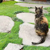 "โนระ" ขี้อ้อนเล็กน้อย