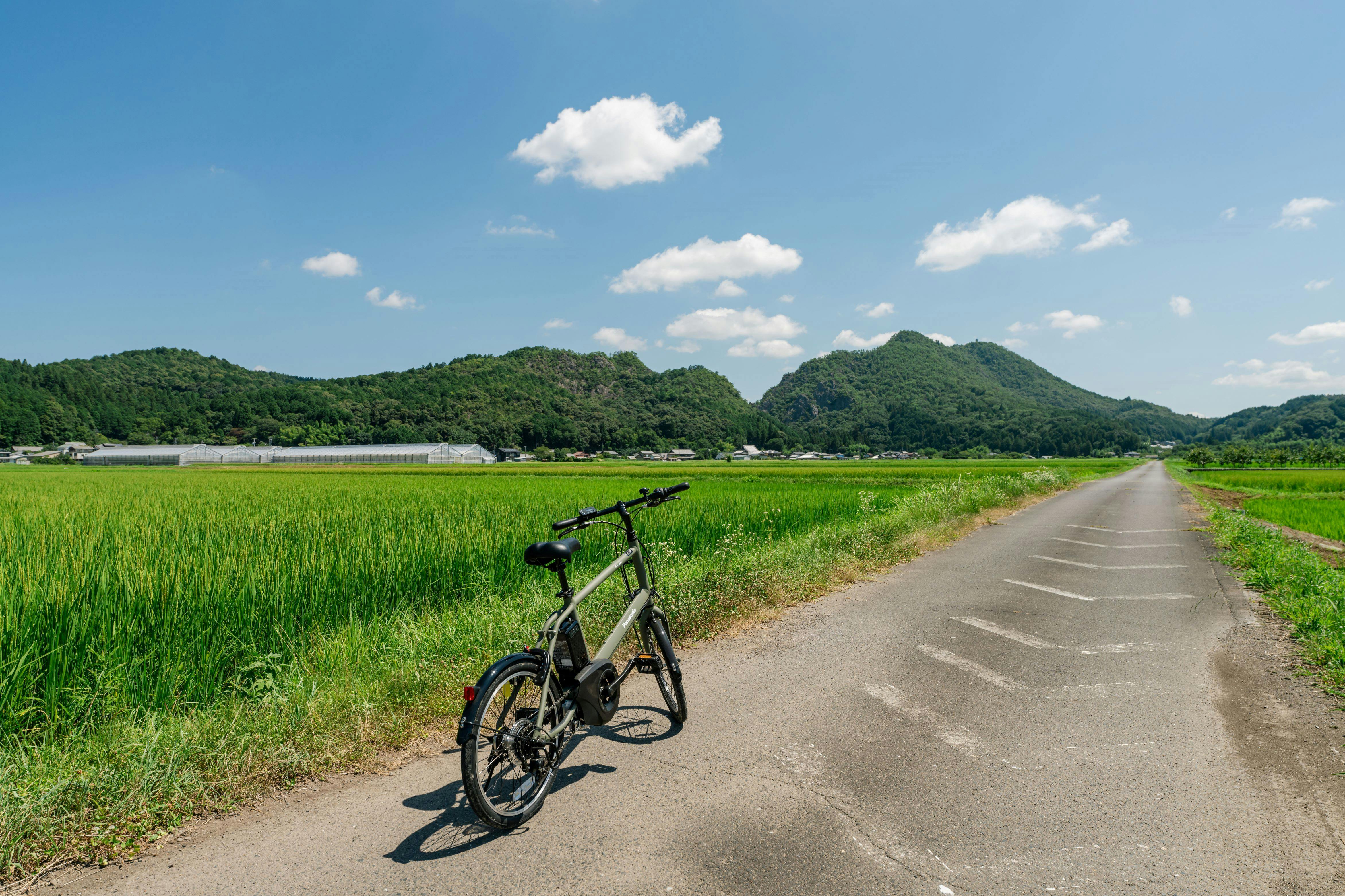 電動自行車租借