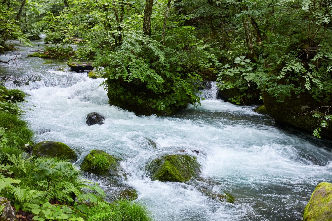 ลำธารโออิราเสะ