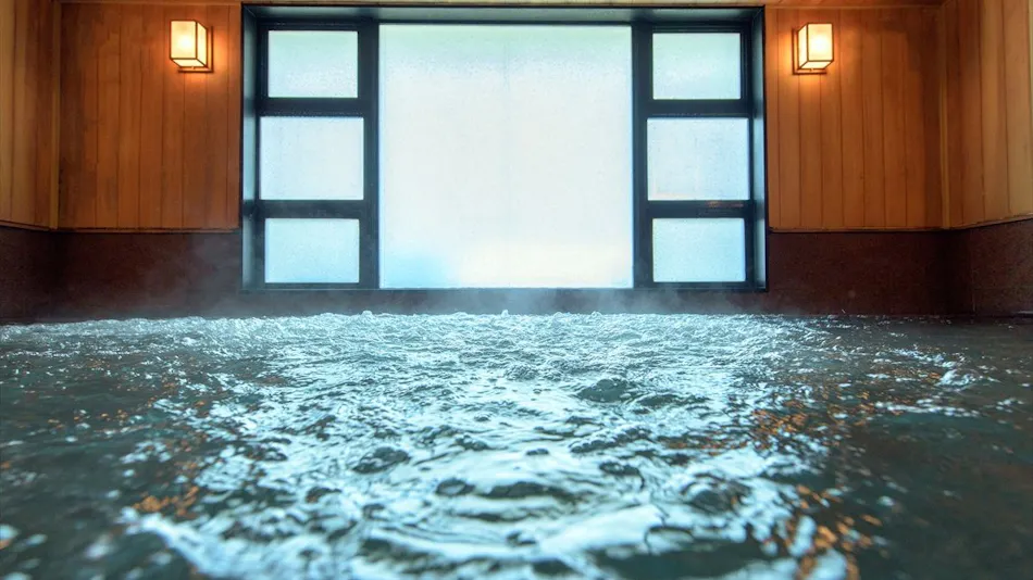 Hotel Ichinose