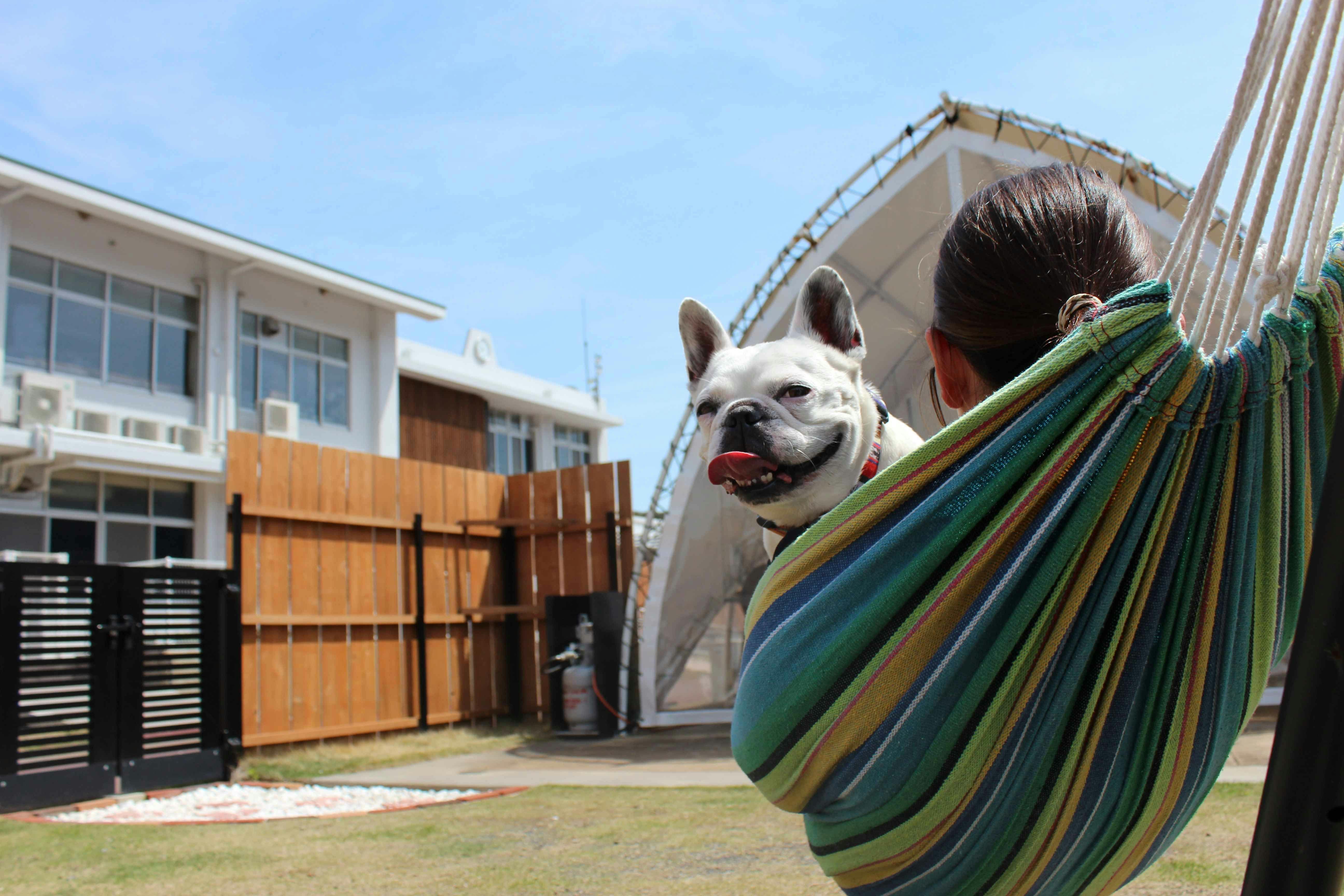 Glamping&Port 結のドッグオペラテント