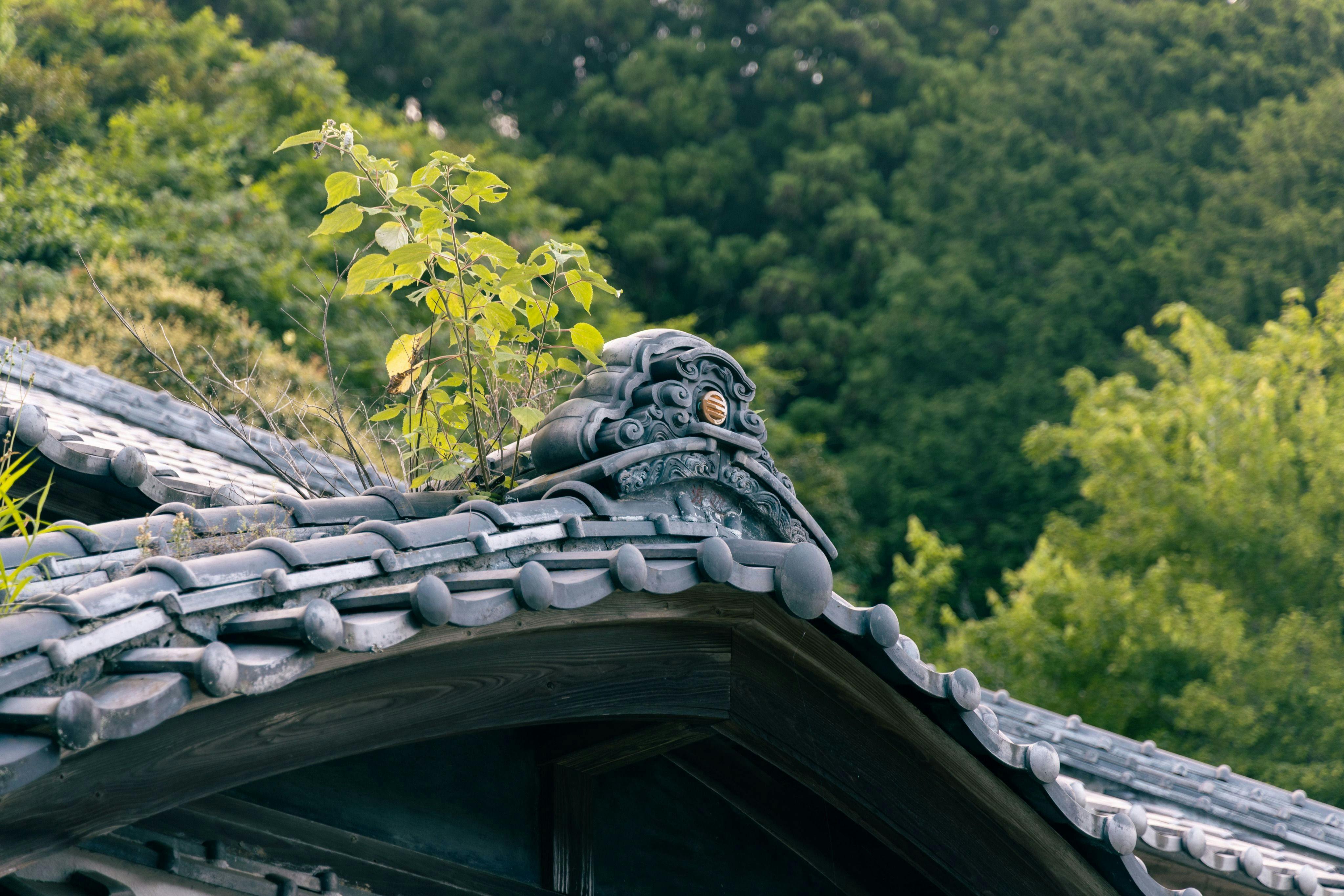 Oikura Inn Seizan