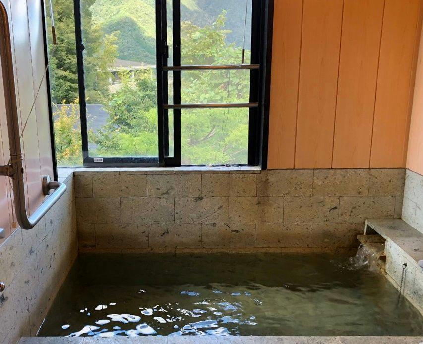 Suite Villa Hakone Gora