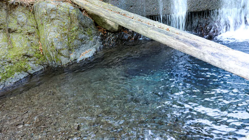 MOSAIC Tokyo Hinohara