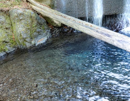 サウナの水風呂は秋川渓谷の清流。